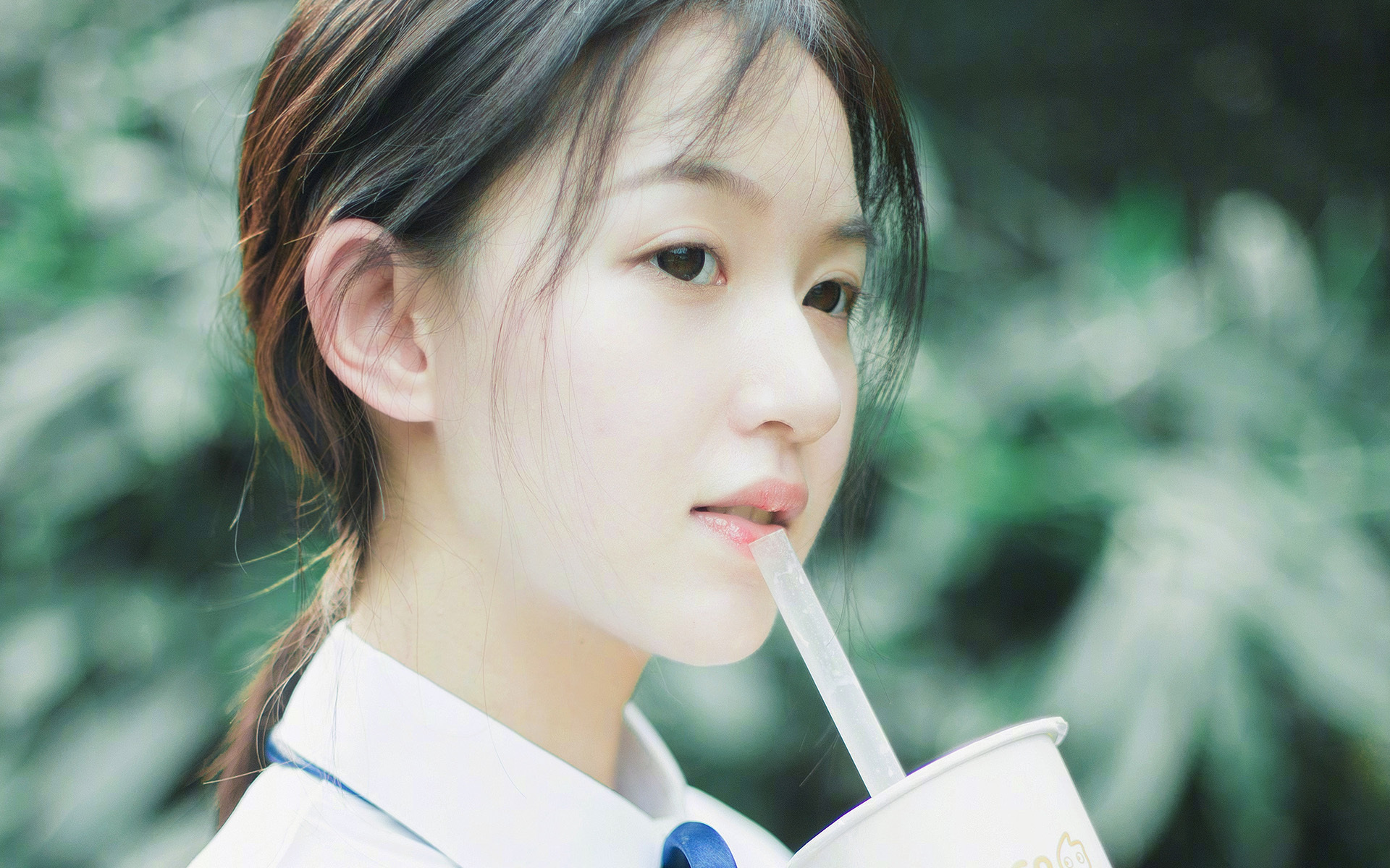 世界杯之梦：各国年轻球员的成长之旅，世界杯球员年龄限定