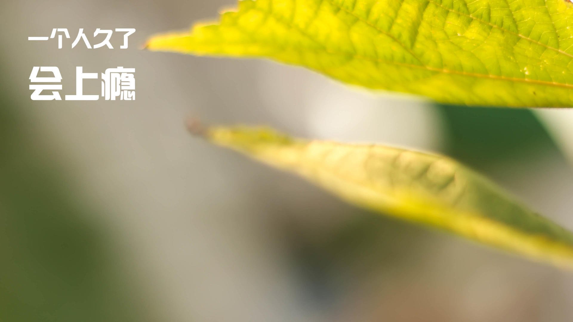 欧洲杯点球盛宴:心跳加速的战术较量,欧洲杯点球算不算输赢