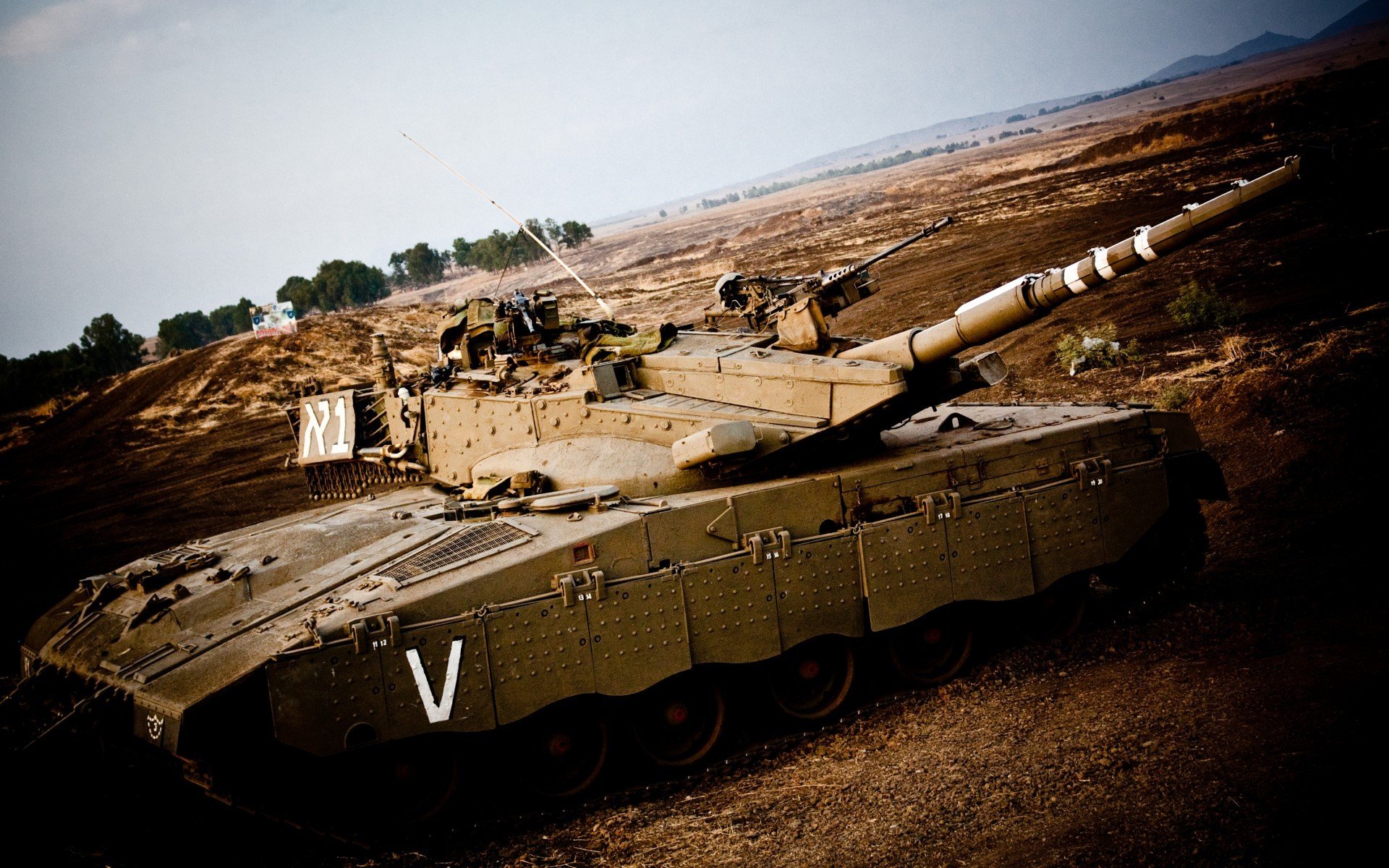 田径世锦赛志愿者服务体系优化,田径运动会志愿者