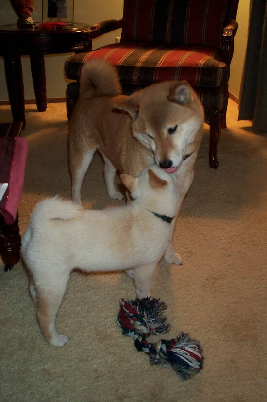 开云官网-联赛制定球员保护条例，减少赛程高强度带来的伤病，球队规定