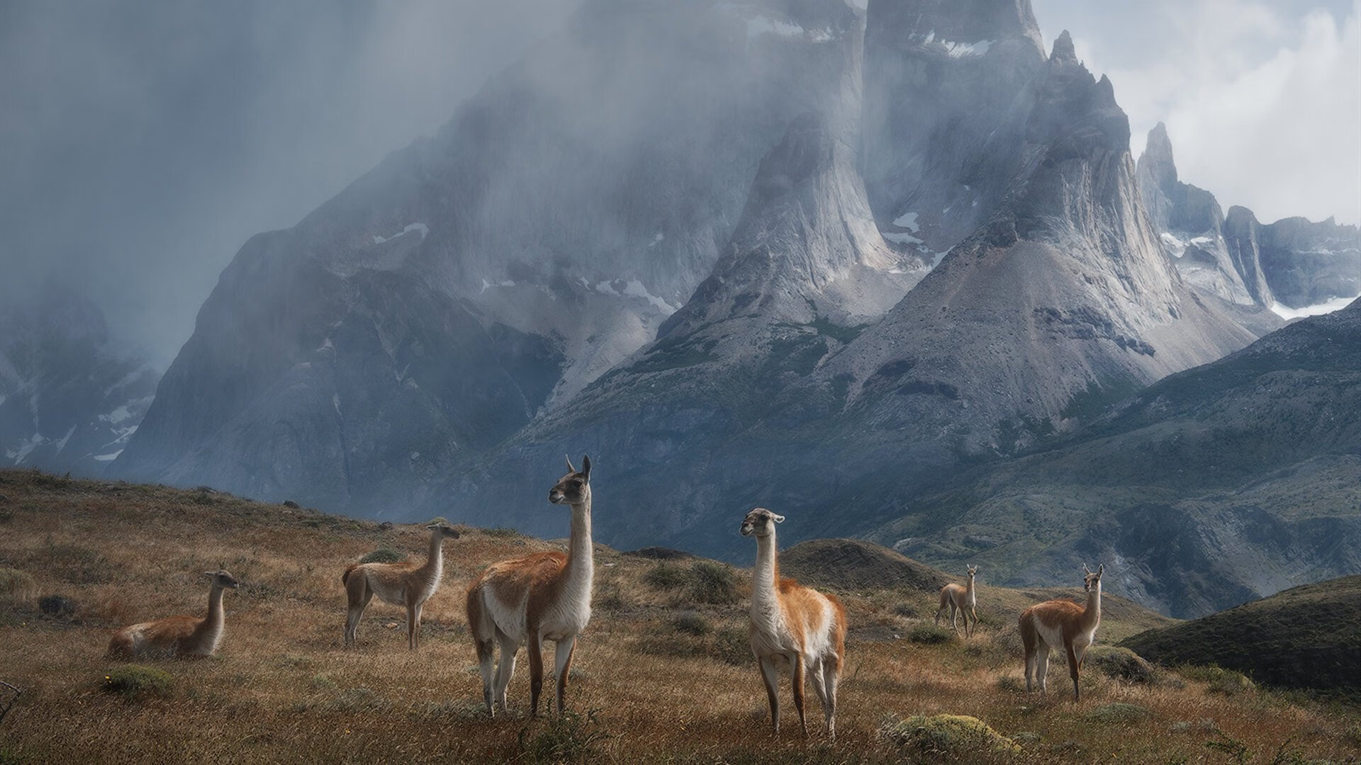 ATFX 观点聚焦：PCE 若无波动，美元或仍受挤压，美元pe什么意思