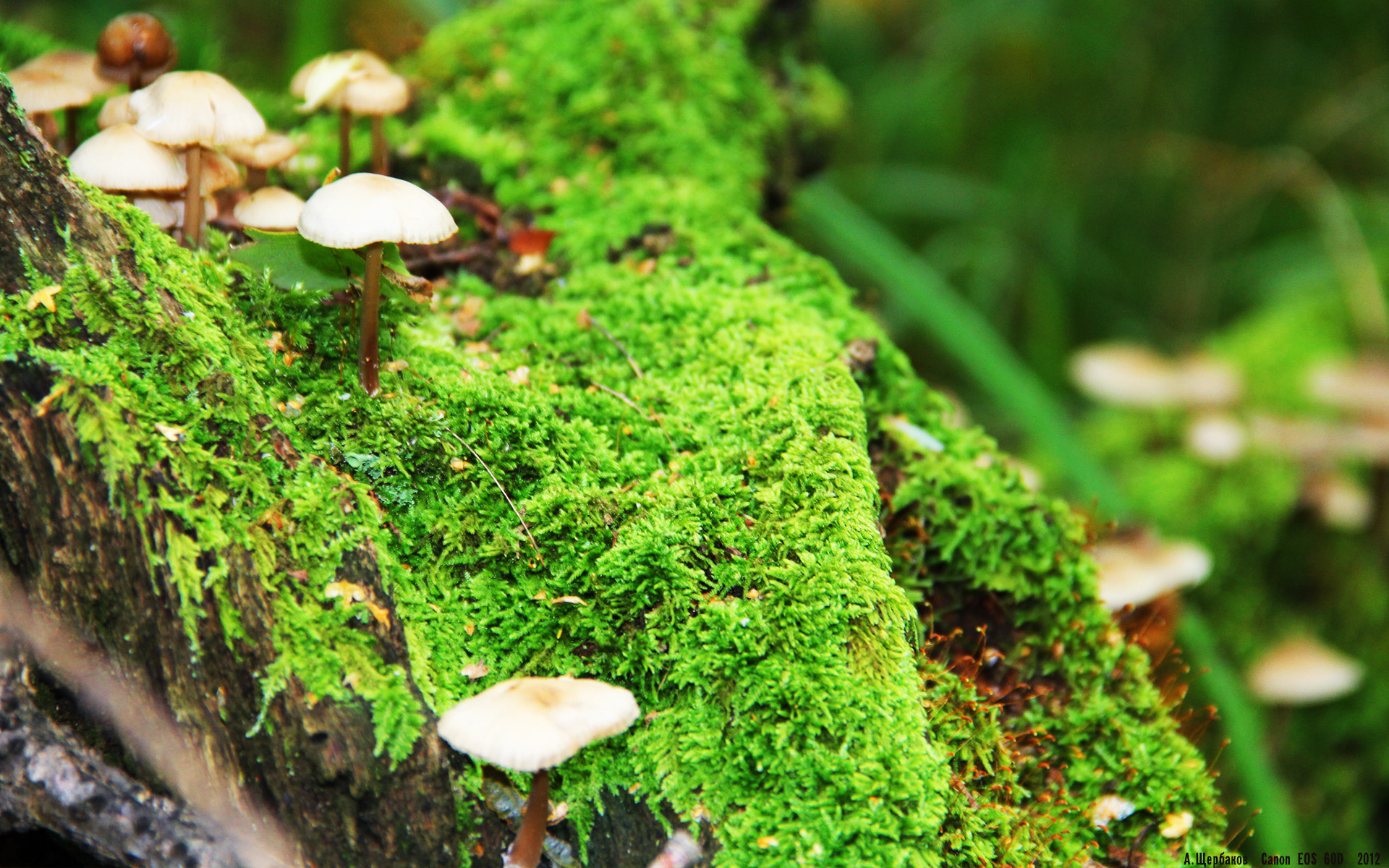 开云体育-中国足球的战术演变，中国足球发展战略